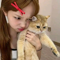 Tác giả fan Trương Miểu Di
