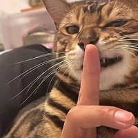 ???
