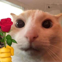 T/g Iu các ghệ đẹp💓