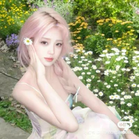 Y/N - Phạm Vân Anh