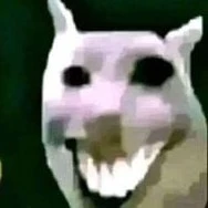 đây là tôi, tôi là một đứa hay coi seg