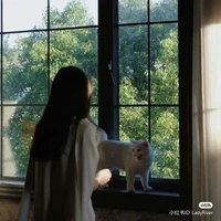 Hạ Lâm Vy