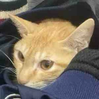 Me(Con Nghiện Wasureta)