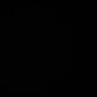 nv phụ