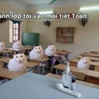 cả lớp