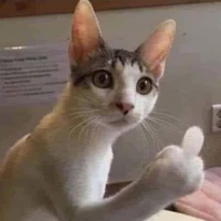 Nhcte(⁠☆⁠▽⁠☆⁠)