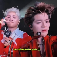 Lại là t/g!!