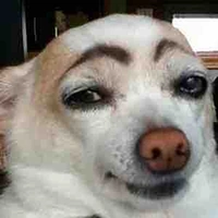 Quần chúng/thần