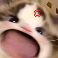 cả đám
