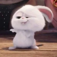 Tác giả
