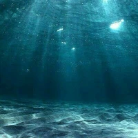 hệ thống [ smeling ]