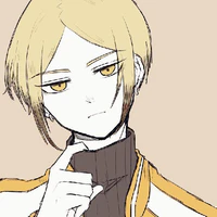 Sako- top-