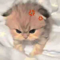 Tác giả lần đầu làm ch ấy:)))