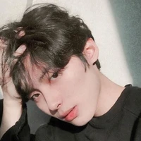 Hạ Thiên Bảo anh 2