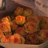 Mọi người