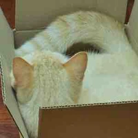 Không trầm tính!:)