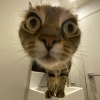 Tác giả xink gái :>>