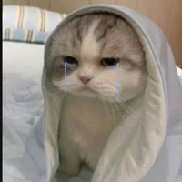 Nhỏ t/giả