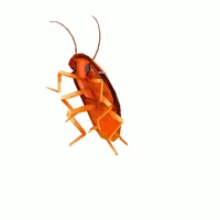 Trừ những ai cần trừ.