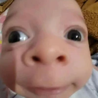 Y/n