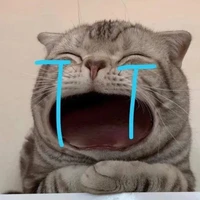 Tác giả khóc nhoè