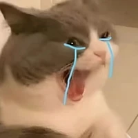 hệ thống 😗 007