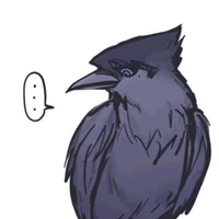 Bio