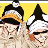 Penguin + Shachi