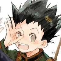 Gon Freecss