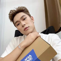 dương domic