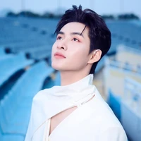 Huỳnh Hoàng Hùng (Gemini)