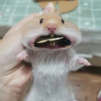 BABY À EM TỚI CHƯA