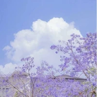 《Tác Giả》Chill Mussic