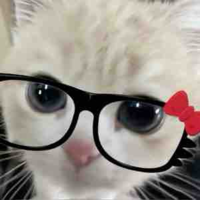 Tác giả xinh gái 