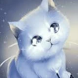 hệ thống _ tiểu mao