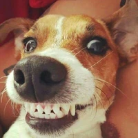 Mấy khứa dại gái (harem của Via)