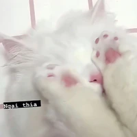 tg xinh iu