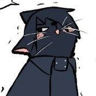 Sasuke Cat