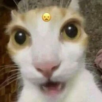 t/g toẻn toẻn👽