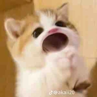 Ck của các độc giả 