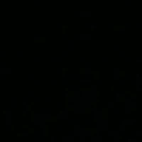 NVP