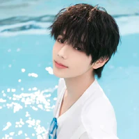 Vương Lỗ Kiệt - gã