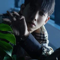 Nguyễn Trường Sinh