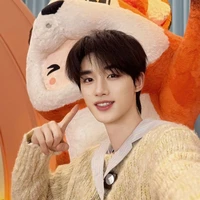 Đinh Trình Hâm trong truyện