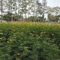 All (trừ ai cần trừ)