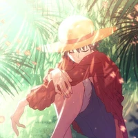 Monkey D. Luffy (O)