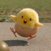 Hệ thống chọc tró