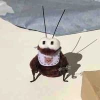 Fan Trần Thiên Nhuận