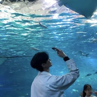 Phạm Hoàng Gia Huy