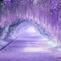 tất cả mọi người